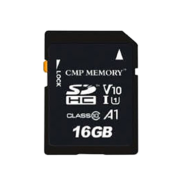 T911975ACC Scheda di memoria SD da 16 GB